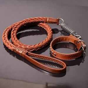 Braided Brown Leather Dog Leash and Collar Set - Brown